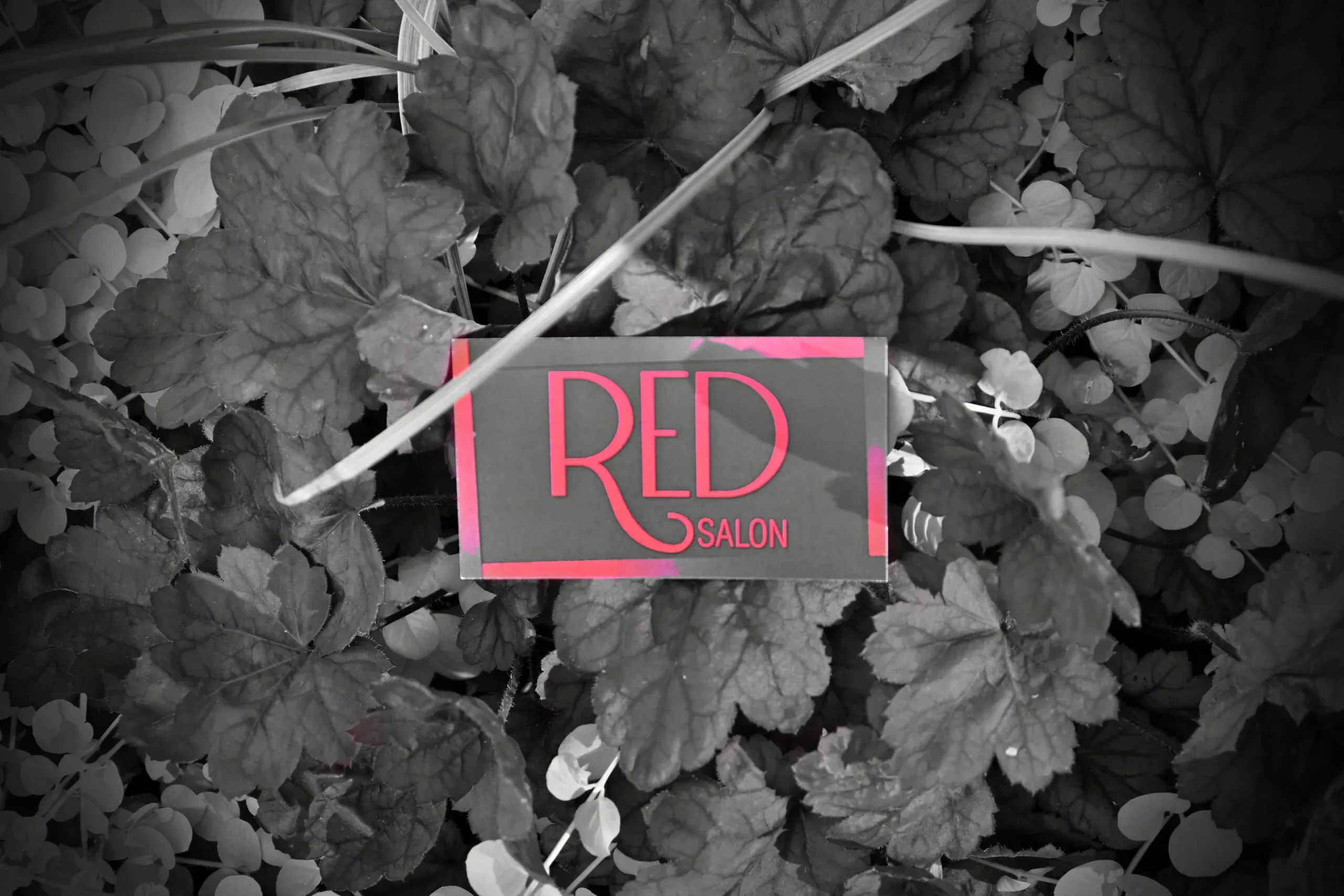 Salon portfolio photograph published by RED Salon